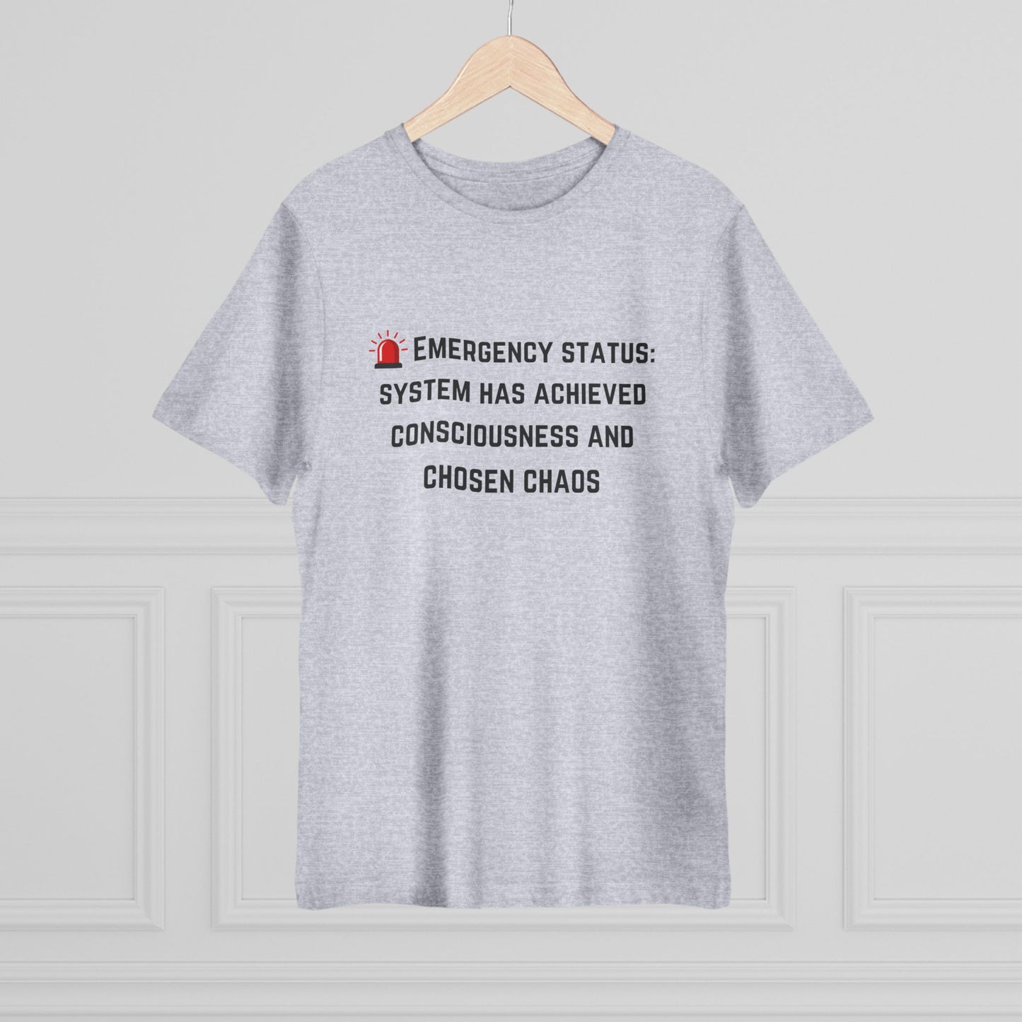 Unisex Deluxe T-shirt